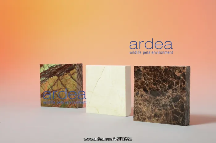  : Marble. Three pieces of different types of marble