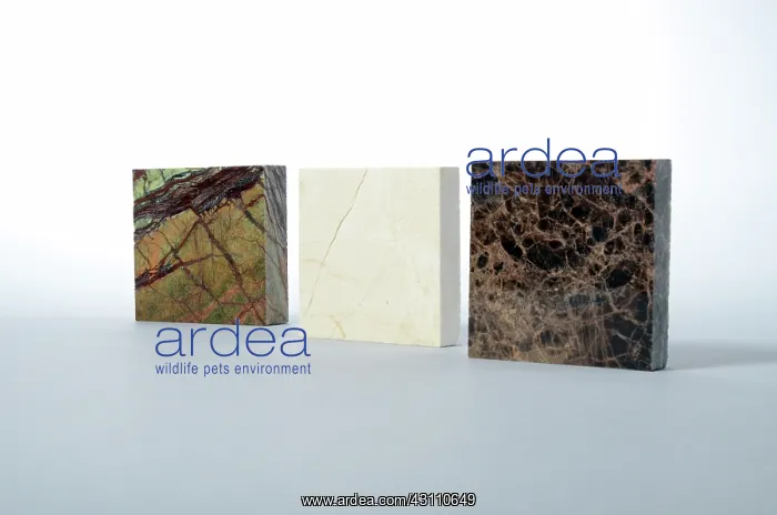 : Marble. Three pieces of different types of marble : Marble. Three pieces of different types of marble
