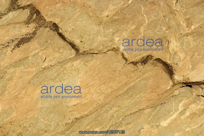 : Marble dolerite and gneiss seen from the air : Marble dolerite and gneiss seen from the air
