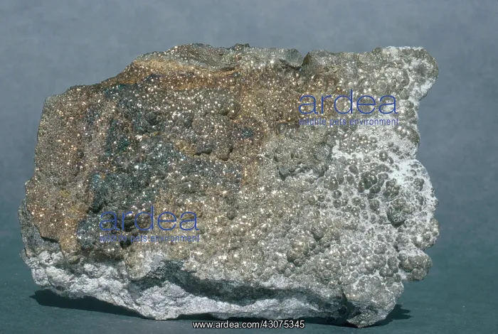 : Marcasite from Rosebery, Tasmania, Australia : Marcasite from Rosebery, Tasmania, Australia