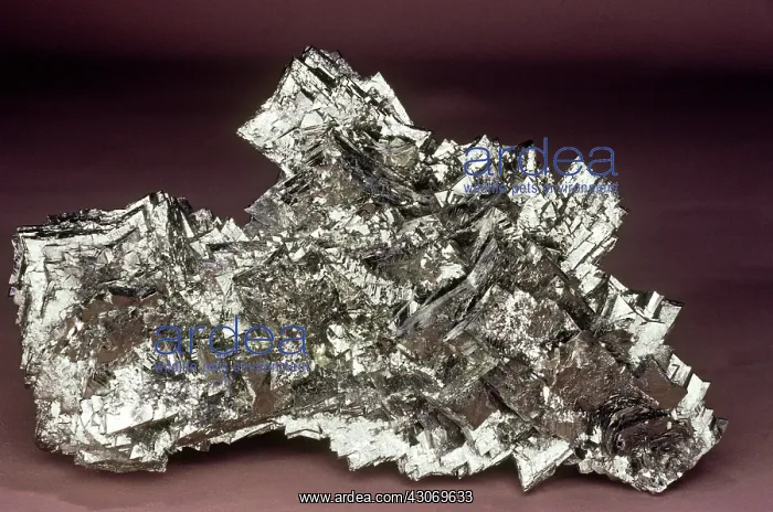 : Marcasite from Vintirov, Czechoslovakia : Marcasite from Vintirov, Czechoslovakia