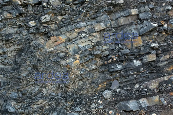 : Marcellus Shale natural gas bearing rock : Marcellus Shale natural gas bearing rock