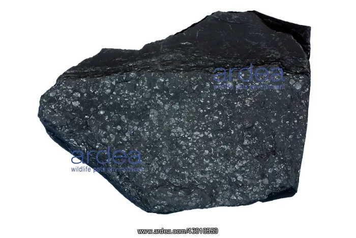 : Marcellus Shale natural gas bearing rock : Marcellus Shale natural gas bearing rock