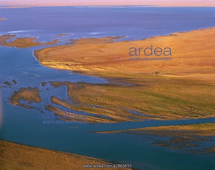 : Margaret River flowing into Lake Eyre South : Margaret River flowing into Lake Eyre South