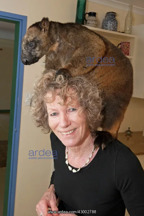 : Margit Cianelli : Margit Cianelli