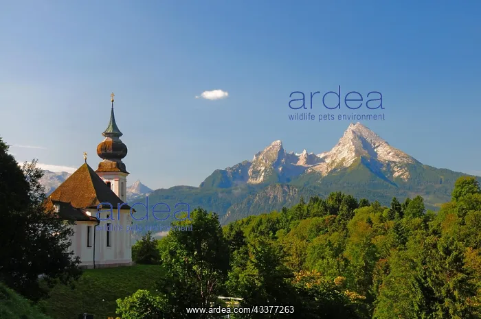 : Maria Gern pilgrimage church, near Berchtesgaden : Maria Gern pilgrimage church, near Berchtesgaden