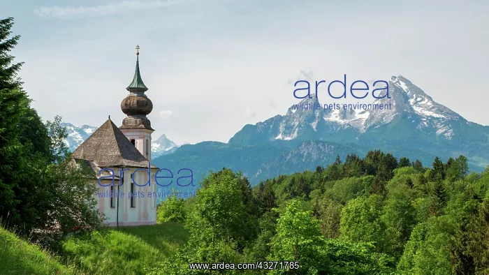 : Maria Gern Pilgrimage Church in front of Watzmann : Maria Gern Pilgrimage Church in front of Watzmann