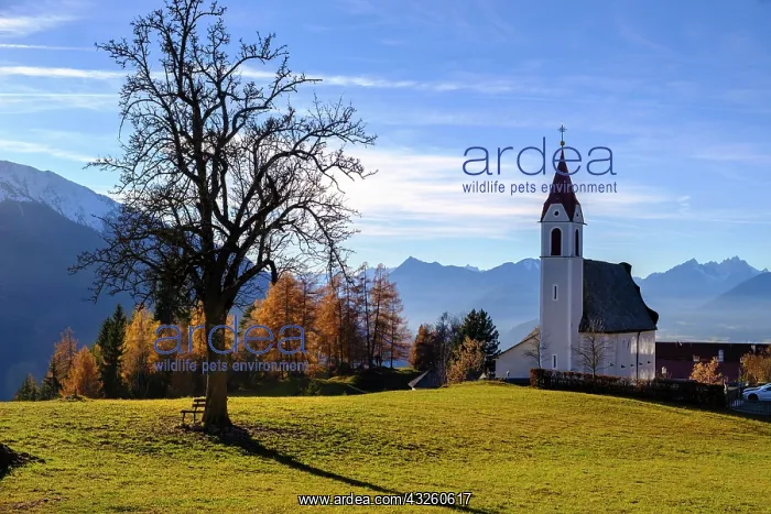 : Maria Heimsuchung Parish Church, Mosern near Seefeld : Maria Heimsuchung Parish Church, Mosern near Seefeld
