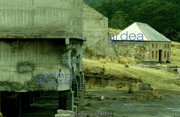 : Maria Island penal settlement (1825-1832, and 1842-1850) : Maria Island penal settlement (1825-1832, and 1842-1850)