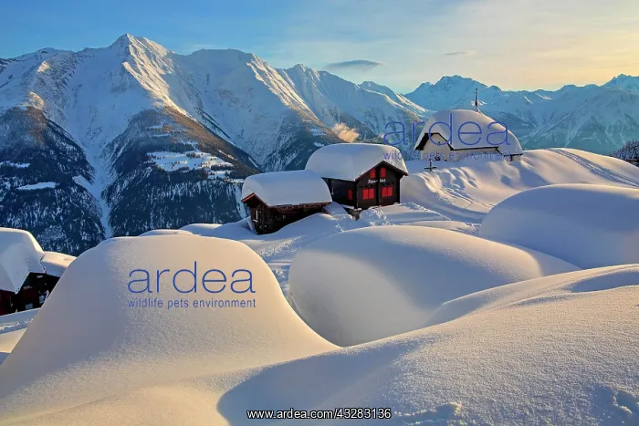 : Maria zum Schnee chapel in the snow in the centre : Maria zum Schnee chapel in the snow in the centre