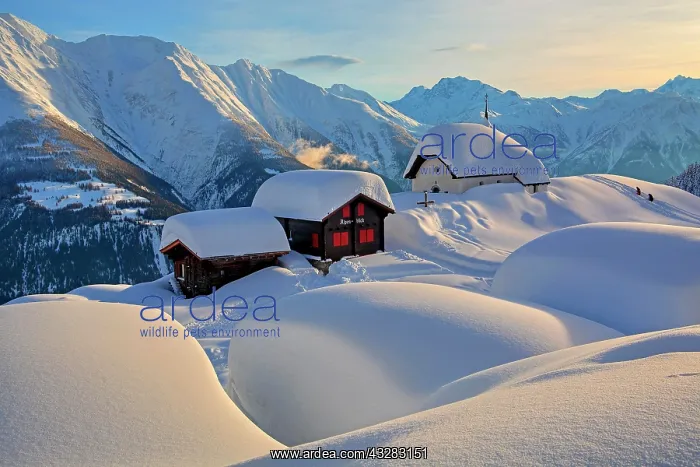 : Maria zum Schnee chapel in the snow in the village : Maria zum Schnee chapel in the snow in the village