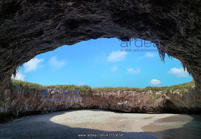  : Marietas Islands National Park, Banderas Bay, Pacific
