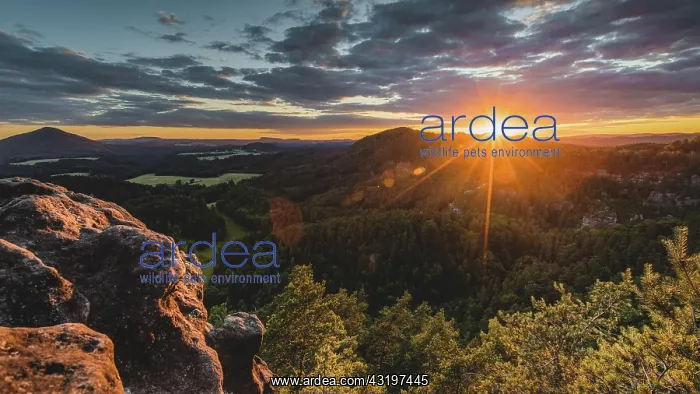 : Mariina sk la, Bohemian Switzerland, Czech Republic : Mariina sk la, Bohemian Switzerland, Czech Republic