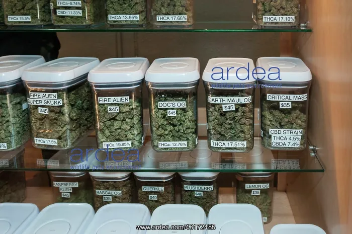 : Marijuana hybrid flowers on sale at marijuana dispensary : Marijuana hybrid flowers on sale at marijuana dispensary