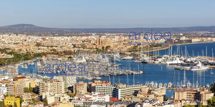  : Marina Port with Boats Holiday Travel City in Palma