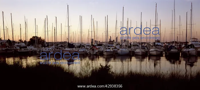 : Marina on the Swan River at sunset. Perth, Western Australia : Marina on the Swan River at sunset. Perth, Western Australia