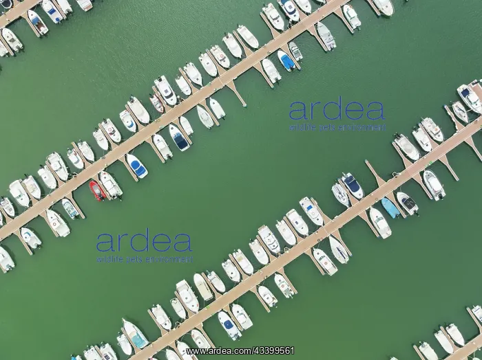 : Marina wharves at the river mouth of the Piedras : Marina wharves at the river mouth of the Piedras
