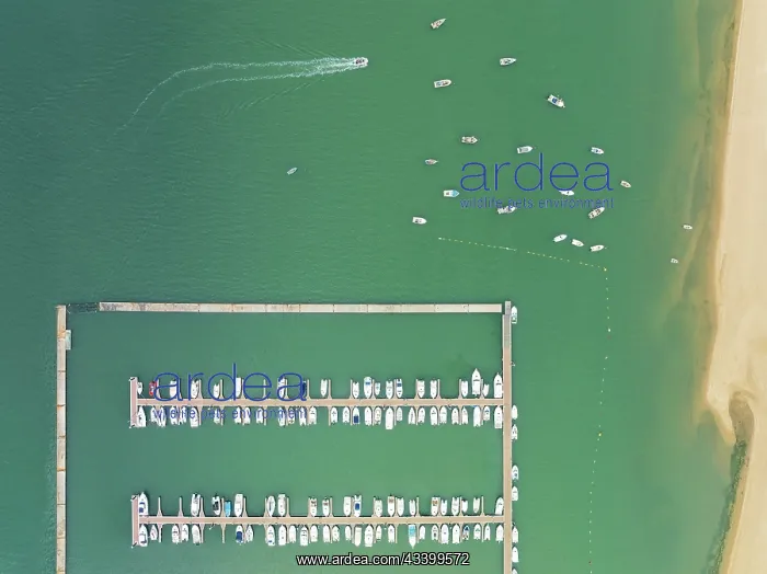 : Marina wharves at the river mouth of the Piedras : Marina wharves at the river mouth of the Piedras