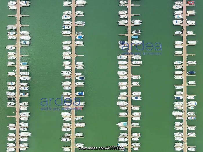 : Marina wharves at the river mouth of the Piedras : Marina wharves at the river mouth of the Piedras