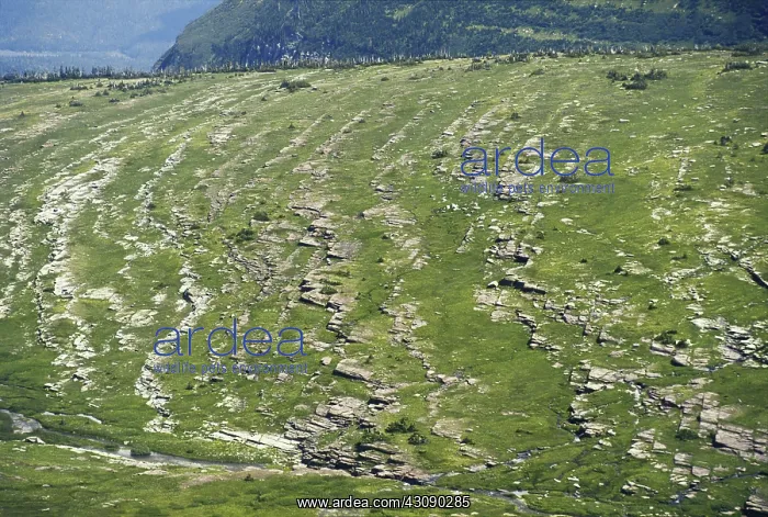 : Marine Terraces : Marine Terraces