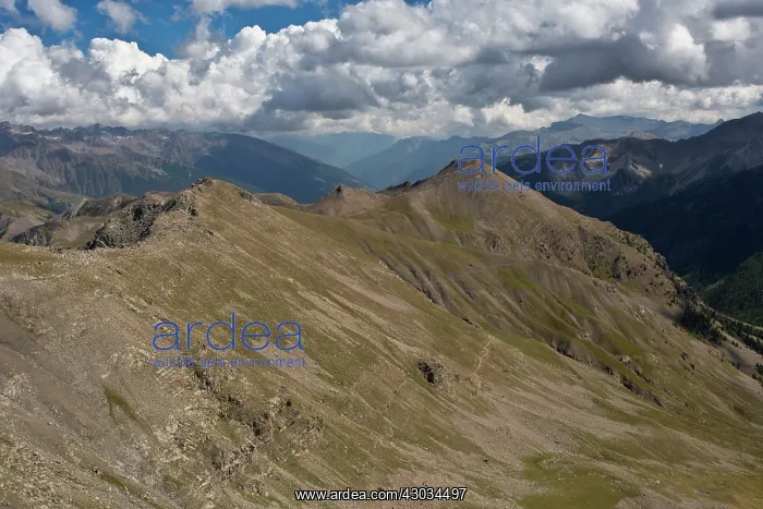 : Maritime Alps view southwards from the Col de La : Maritime Alps view southwards from the Col de La
