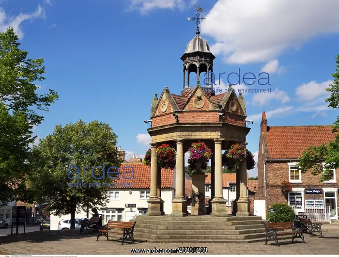 : Market Cross with Water Pump in Boroughbridge : Market Cross with Water Pump in Boroughbridge