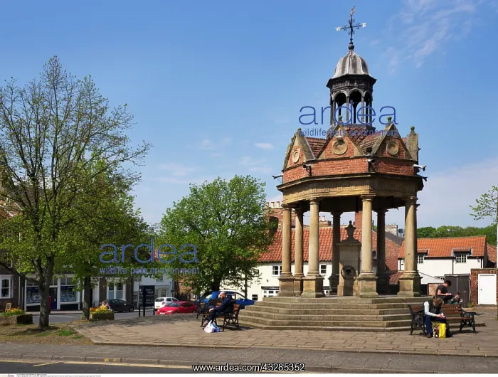 : Market Cross and Water Pump Boroughbridge : Market Cross and Water Pump Boroughbridge
