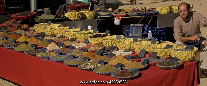  : Market day in Stes Maries de la mer, Camargue