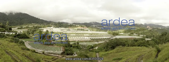  : Market Gardening in Malaysia