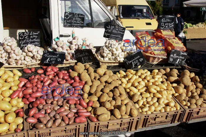 : Market - vegatable stall selling garlic and a variety : Market - vegatable stall selling garlic and a variety