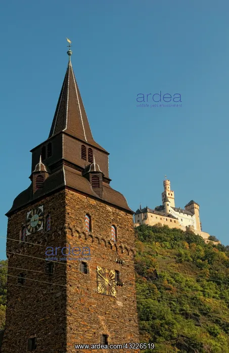 : Marksburg Castle on hill outside Braubach : Marksburg Castle on hill outside Braubach