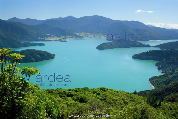  : Marlborough Sounds - view from Lookout Hill over