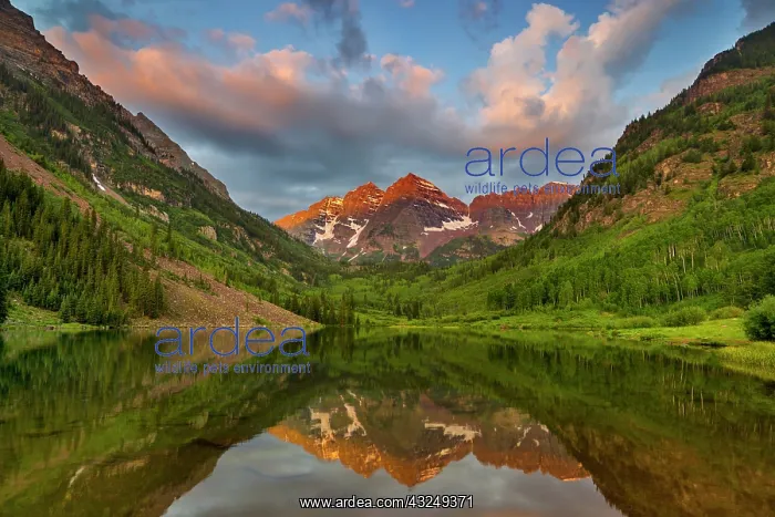 : Maroon Bells reflect into calm Maroon Lake : Maroon Bells reflect into calm Maroon Lake