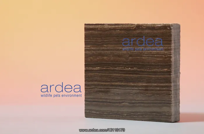 : Marron Grecale Marble : Marron Grecale Marble