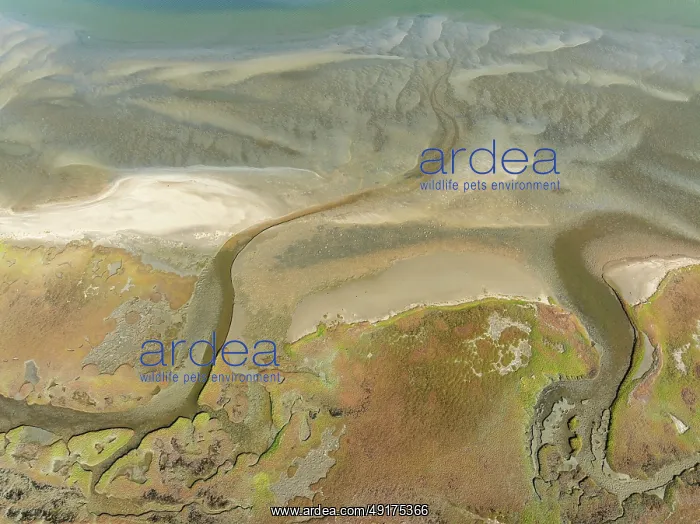 : Marshes and streams at low tide in the Walvis Bay Lagoon : Marshes and streams at low tide in the Walvis Bay Lagoon