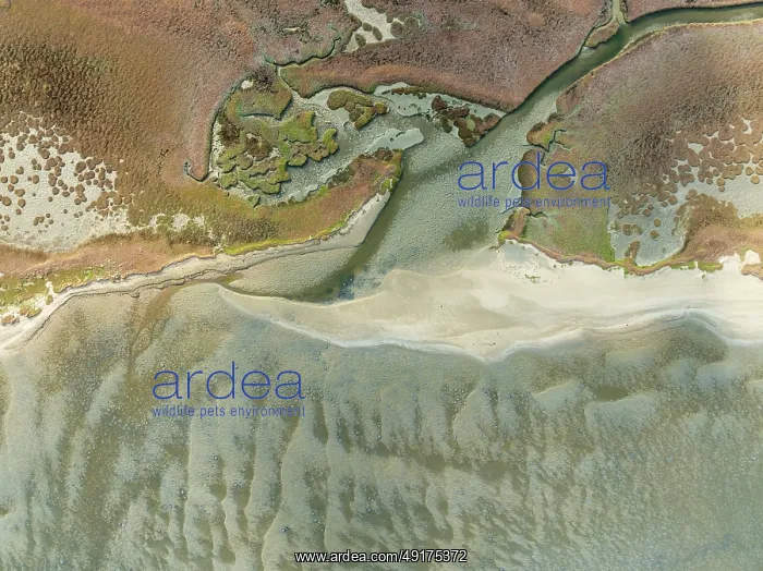 : Marshes and streams at low tide in the Walvis Bay Lagoon : Marshes and streams at low tide in the Walvis Bay Lagoon