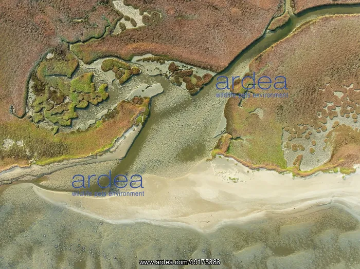 : Marshes and streams at low tide in the Walvis Bay Lagoon : Marshes and streams at low tide in the Walvis Bay Lagoon