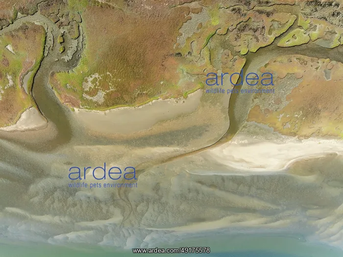: Marshes and streams at low tide in the Walvis Bay Lagoon : Marshes and streams at low tide in the Walvis Bay Lagoon