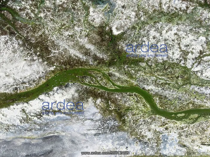 : Marshes and streams at low tide in the Walvis Bay Lagoon : Marshes and streams at low tide in the Walvis Bay Lagoon