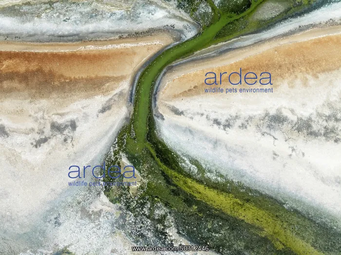 : Marshes and streams at low tide in the Walvis Bay Lagoon : Marshes and streams at low tide in the Walvis Bay Lagoon