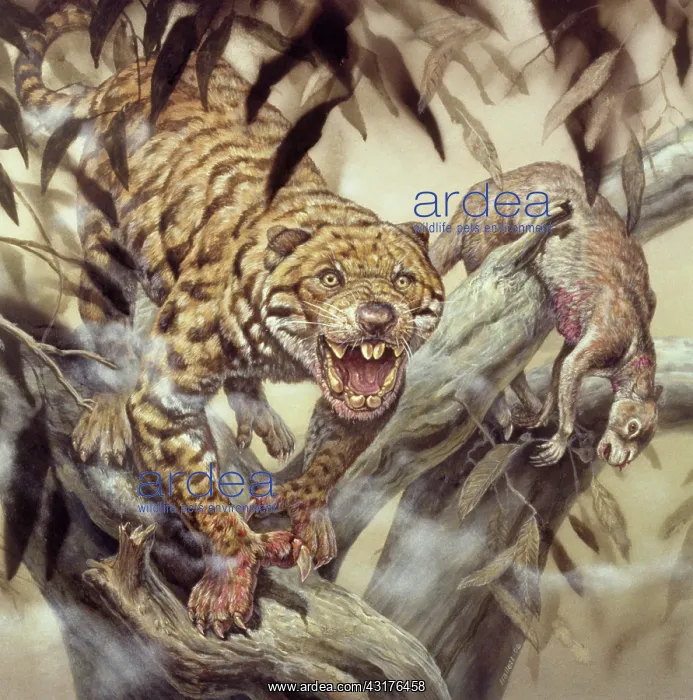 : Marsupial Lion : Marsupial Lion