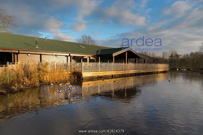 : Martin Mere Wildfowl and Wetlands Trust : Martin Mere Wildfowl and Wetlands Trust