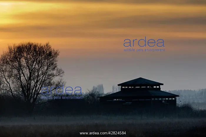 : Martin Mere Wildfowl and Wetlands Trust - at sunset