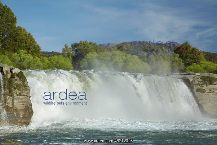 : Maruia Falls and Maruia River, near Murchison : Maruia Falls and Maruia River, near Murchison