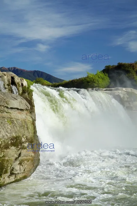 : Maruia Falls and Maruia River, near Murchison : Maruia Falls and Maruia River, near Murchison