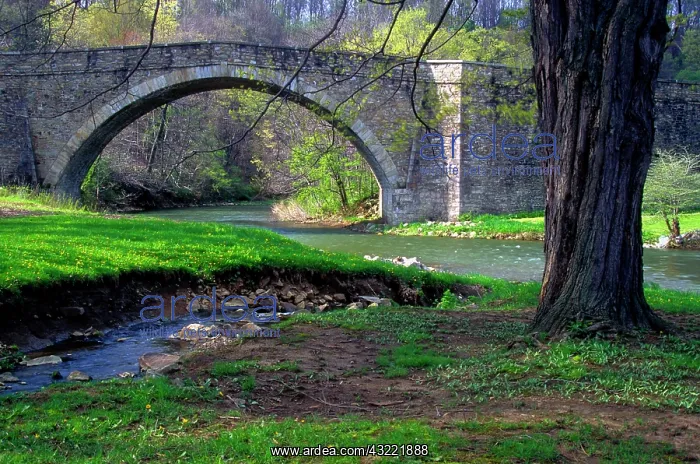 : Maryland, near Grantsville. Casselman Stone : Maryland, near Grantsville. Casselman Stone