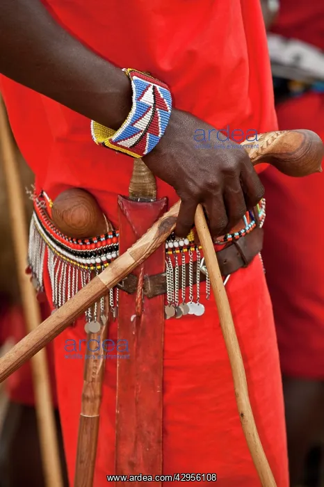 : Masai Warrior - close up of hand - with club, belt : Masai Warrior - close up of hand - with club, belt