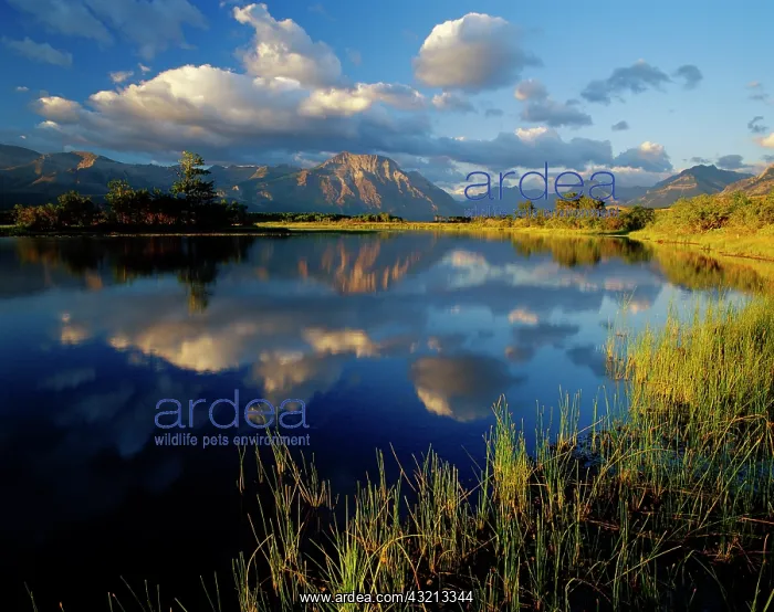 : Maskinonge Lake in Waterton Lakes National : Maskinonge Lake in Waterton Lakes National