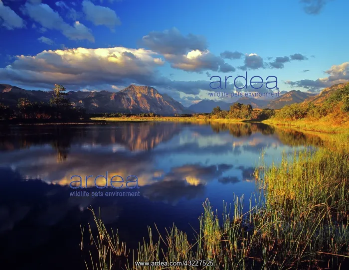 : Maskinonge Lake in Waterton Lakes National : Maskinonge Lake in Waterton Lakes National