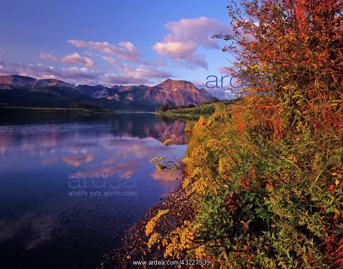 : Maskinonge Lake in Waterton Lakes National : Maskinonge Lake in Waterton Lakes National
